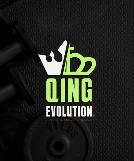 Qing Evolution logo